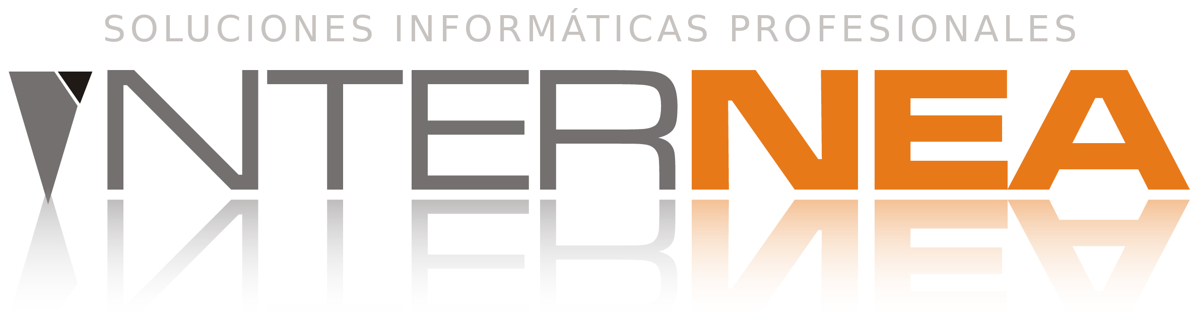 InterNEA Soluciones Informáticas Profesionales